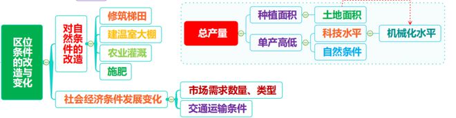 致富云南种植农民树视频_云南农民种植致富树_云南种植什么树挣钱