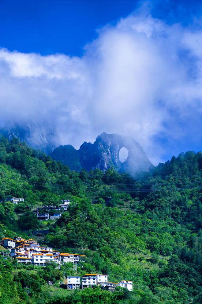 云南种植什么树挣钱_云南农民种植致富树_致富云南种植农民树视频