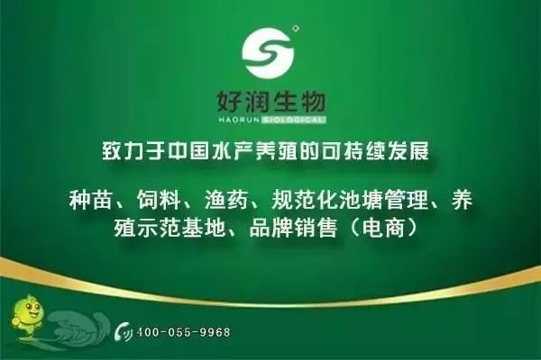 经历三次天灾，后却年入3000多万元，他是如何靠大鱼实现财富逆袭的？