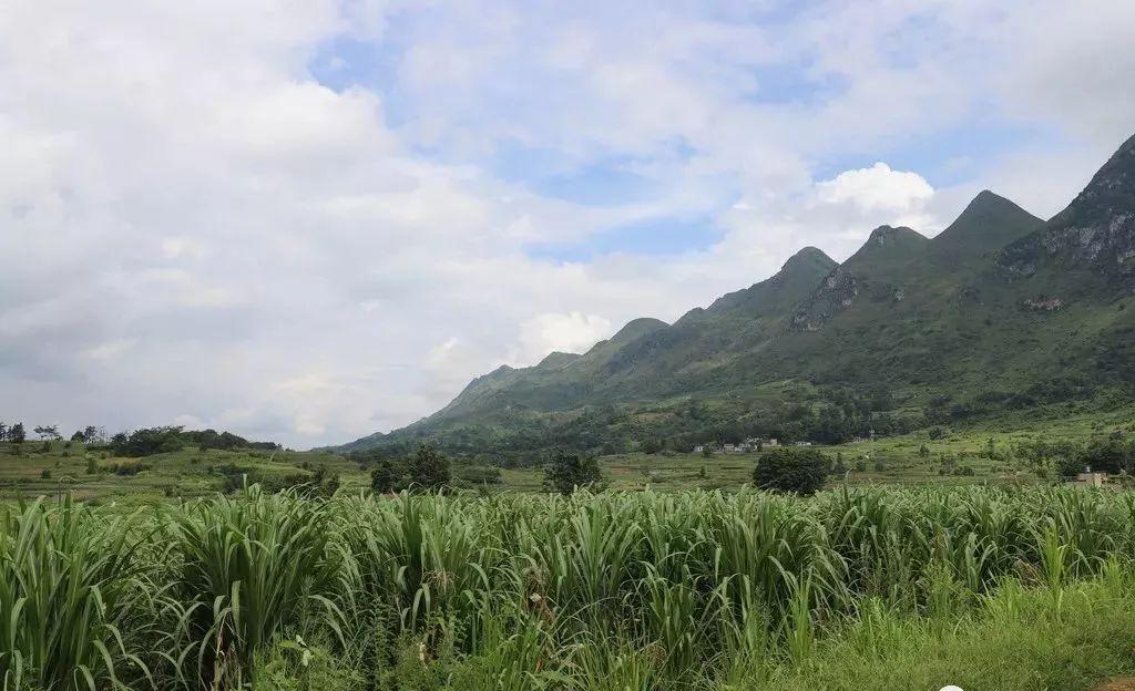 大理的农村_大理农村视频_大理农民致富经