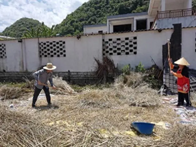 种植致富新项目_种植致富好项目_致富种植项目新闻报道