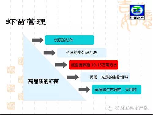 罗氏虾养殖技术视频_湖北罗氏虾养殖技术_湖北罗氏虾养殖基地