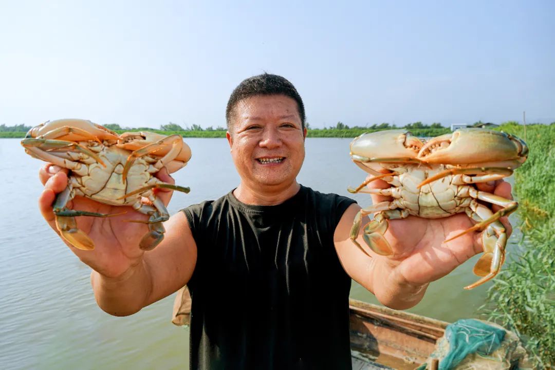 蚌养殖_养殖致富之蚌壳_致富养殖蚌壳视频