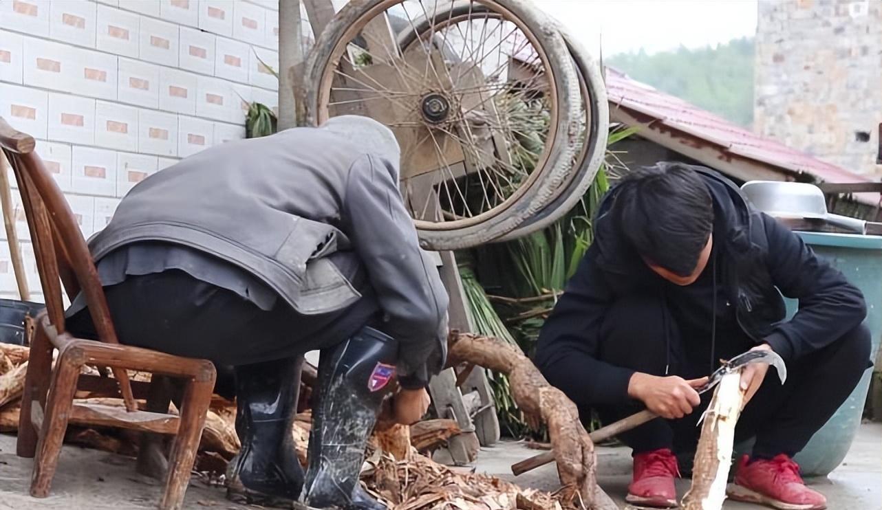 致富经中的水葫芦_致富经葫芦卖出了千万_种葫芦赚钱