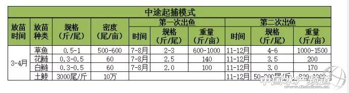 “大草鱼中途出鱼”模式 全年亩效益4000元以上