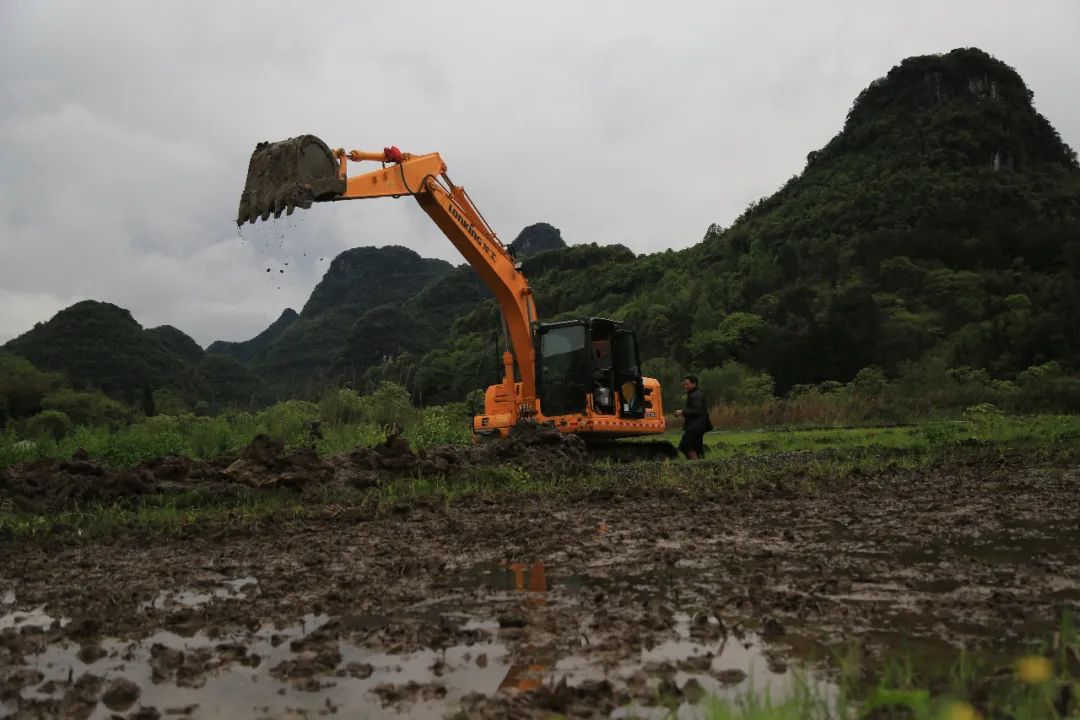 养殖螺蛳技术规范_养殖螺蛳技术视频_螺蛳养殖技术