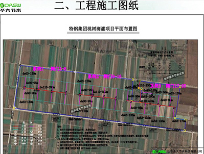 肥城种植致富项目_肥城种植什么的多_致富种植肥城项目怎么样