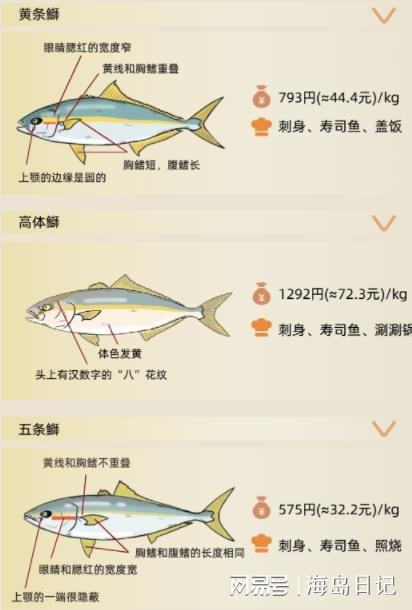 白鱼养殖技术难点_白鱼养殖_白鱼养殖技术