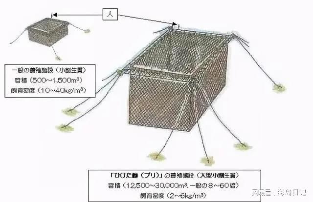 白鱼养殖_白鱼养殖技术_白鱼养殖技术难点