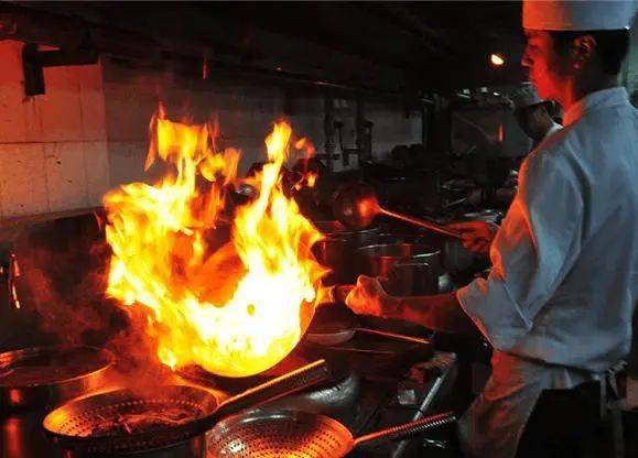 兔养殖肉食技术培训_兔养殖肉食技术视频_肉食兔养殖技术