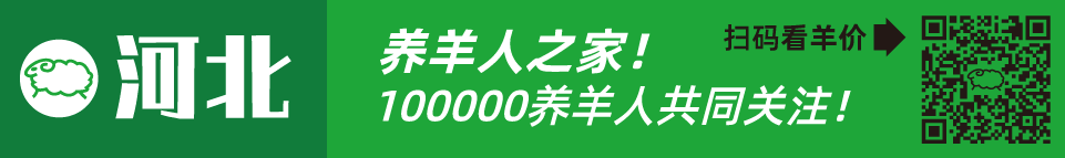 寒羊串养殖技术视频_寒羊串产羔率_寒羊串大母羊价格