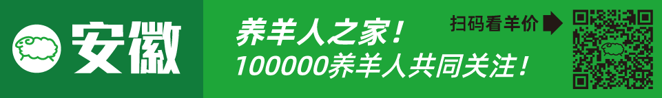 寒羊串养殖技术视频_寒羊串大母羊价格_寒羊串产羔率