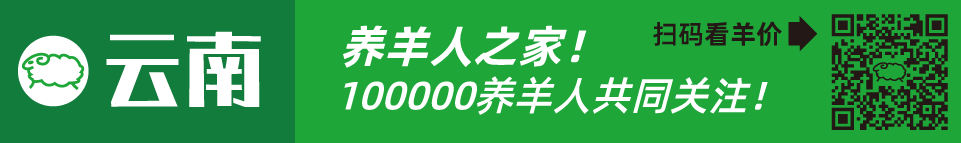 寒羊串养殖技术视频_寒羊串产羔率_寒羊串大母羊价格