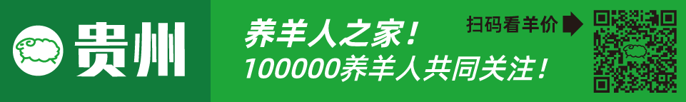 寒羊串养殖技术视频_寒羊串大母羊价格_寒羊串产羔率