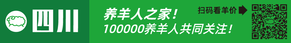 寒羊串产羔率_寒羊串养殖技术视频_寒羊串大母羊价格