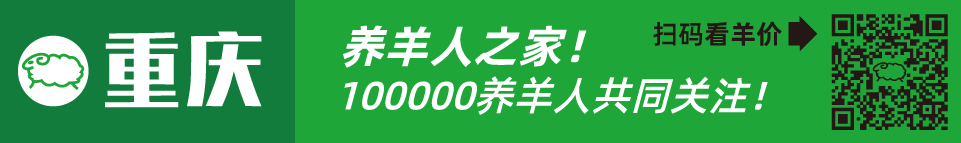 寒羊串养殖技术视频_寒羊串大母羊价格_寒羊串产羔率