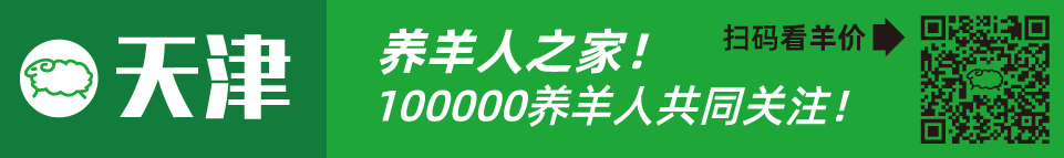 寒羊串产羔率_寒羊串养殖技术视频_寒羊串大母羊价格