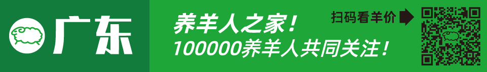 寒羊串养殖技术视频_寒羊串大母羊价格_寒羊串产羔率