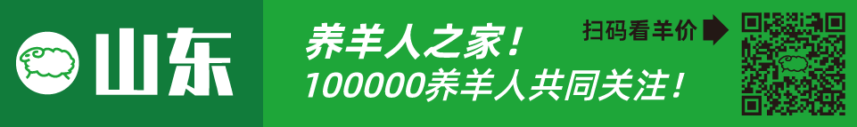 寒羊串大母羊价格_寒羊串养殖技术视频_寒羊串产羔率