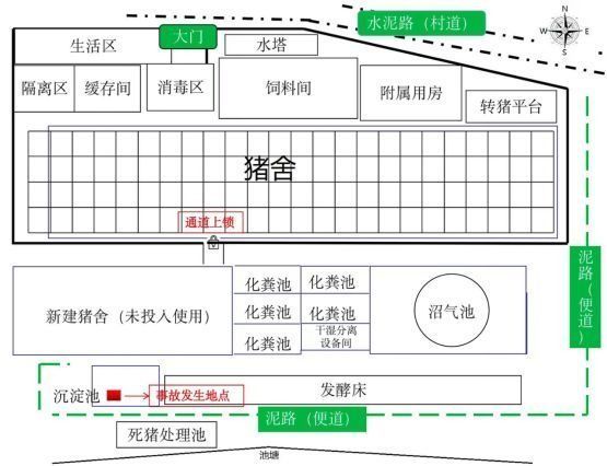 非洲雁养殖技术及利润_非洲雁养殖技术及要求_非洲雁养殖场视频