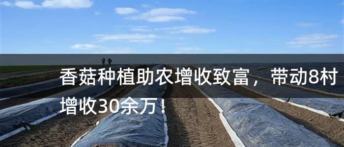 香菇种植助农增收致富，带动8村增收30余万！