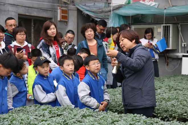 致富经养鲤鱼_锦鲤养殖致富能手_靠养锦鲤致富的村庄