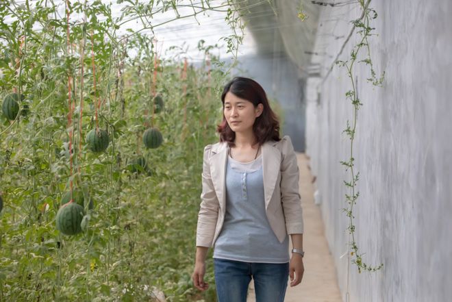 靠养锦鲤致富的村庄_致富经养鲤鱼_锦鲤养殖致富能手