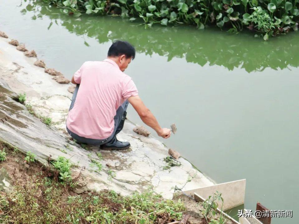 致富经养殖甲鱼视频全集_致富经鱼鳖混养视频_致富经养鳖技术视频