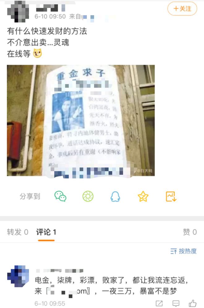 致富有道不用猜是什么生肖_致富有道什么意思_致富经我有