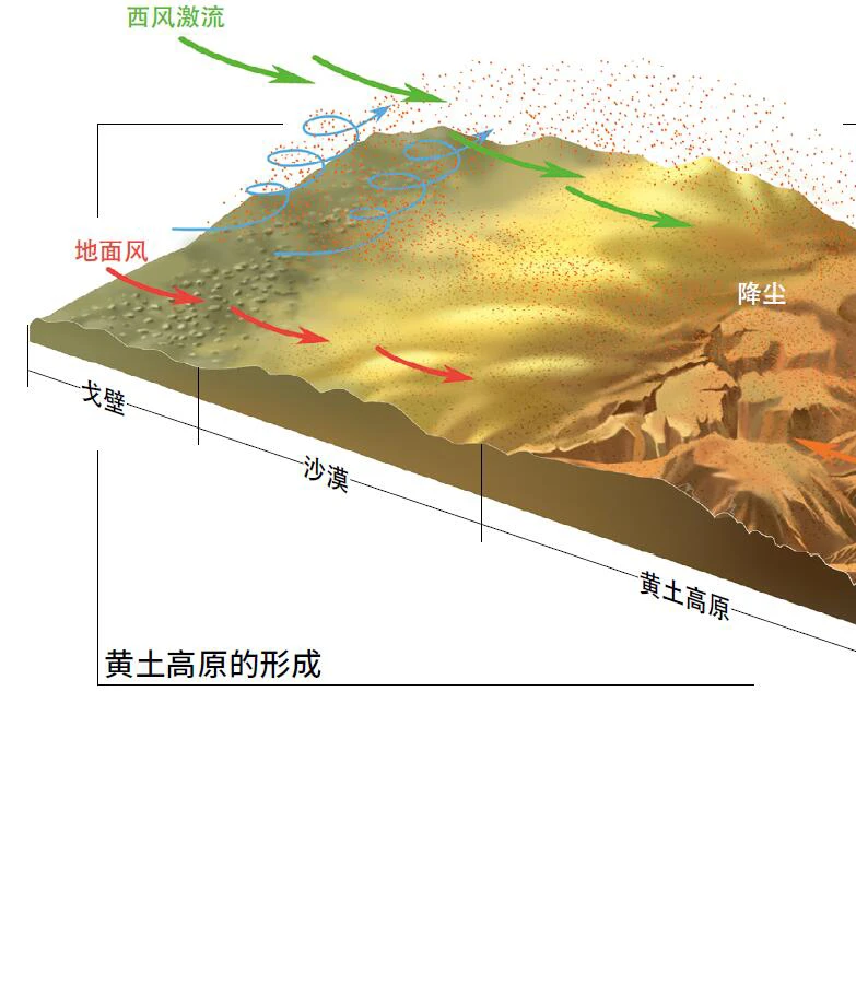 黄土高原如何脱贫致富_黄土高原的致富经_黄土高原可生产什么药材