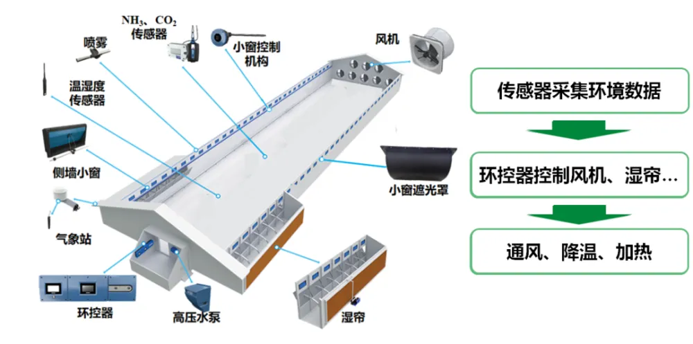 育雏小鹅的养殖技术_小鹅养殖技术视频_雏鹅育雏技术