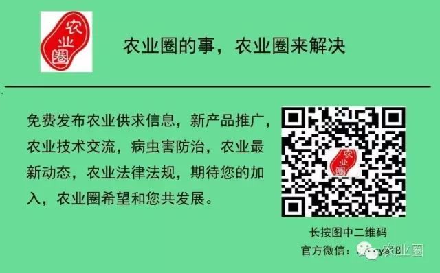 三农致富经大棚_大棚带动群众致富_致富经大棚种菜技术