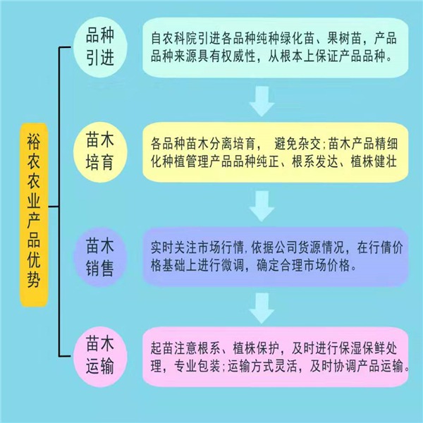 钙果的种植技术视频_钙果种植视频致富经_如何种植钙果树