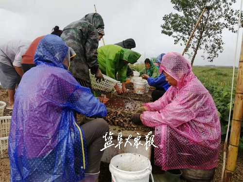 致富经养蚂蟥视频_致富养殖视频_养蚂蚁致富