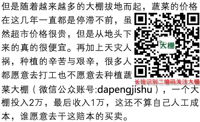 大棚还能种吗？数千亩农业大棚荒废，闲置大棚蔓延全国！