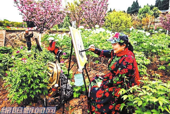 药用牡丹种植技术_牡丹种植技术视频教程大全_牡丹种植技术