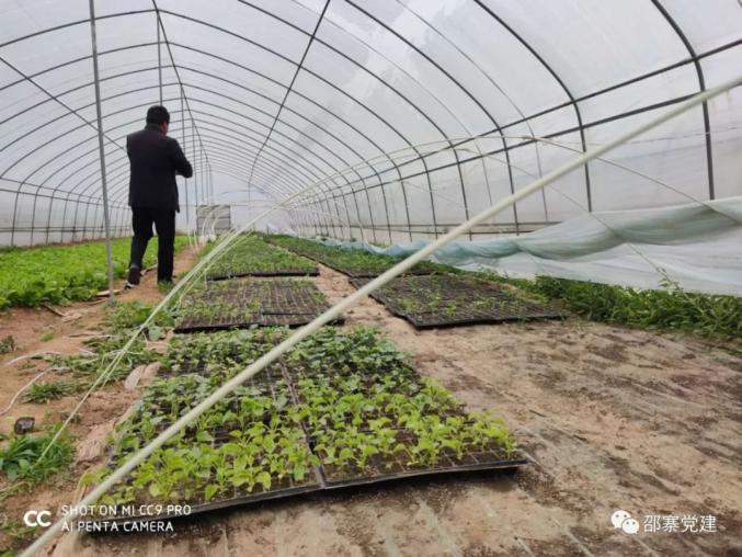 种香瓜赚钱吗_香瓜种植增添新技术_致富能手种植香瓜