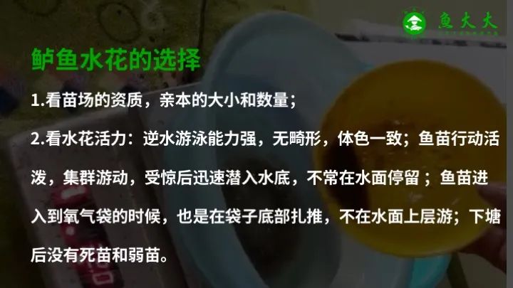 红线虫怎么养活_红线虫养殖场视频_红线虫养殖技术视频