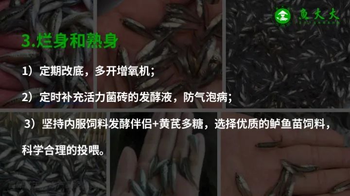 红线虫怎么养活_红线虫养殖场视频_红线虫养殖技术视频