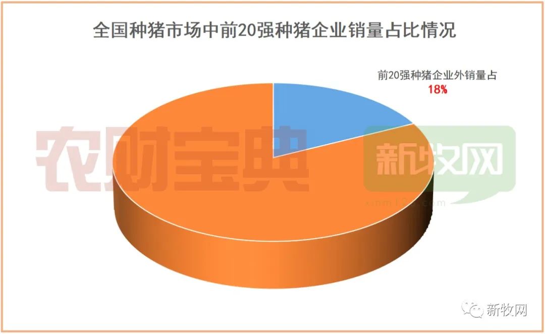 种草养猪视频致富经_致富经种猪养殖视频_致富经生态养殖猪视频