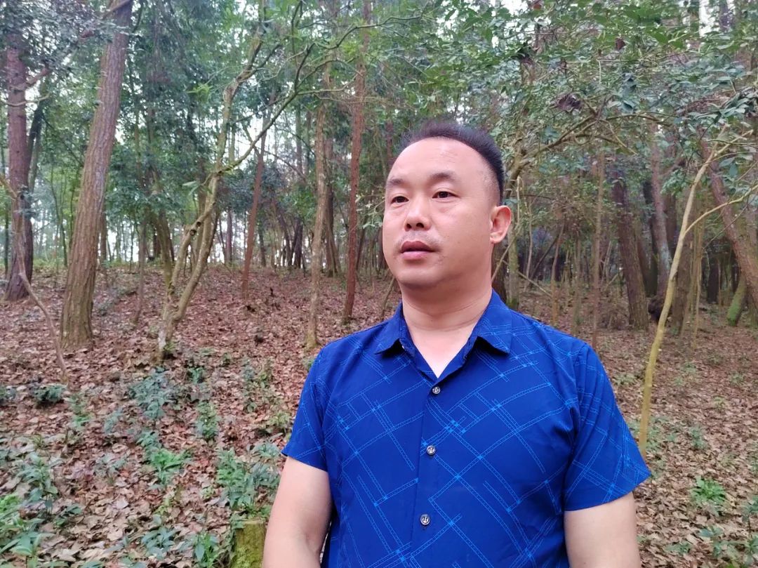 中药材种植致富经_致富药材种植_中药种植致富技术