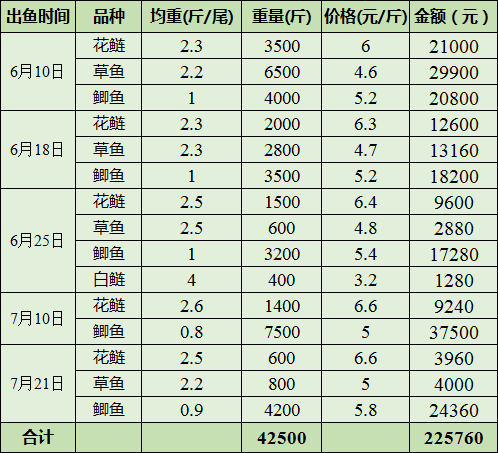 养殖鲫鱼赚钱吗_养殖鲫鱼致富_致富养殖鲫鱼图片