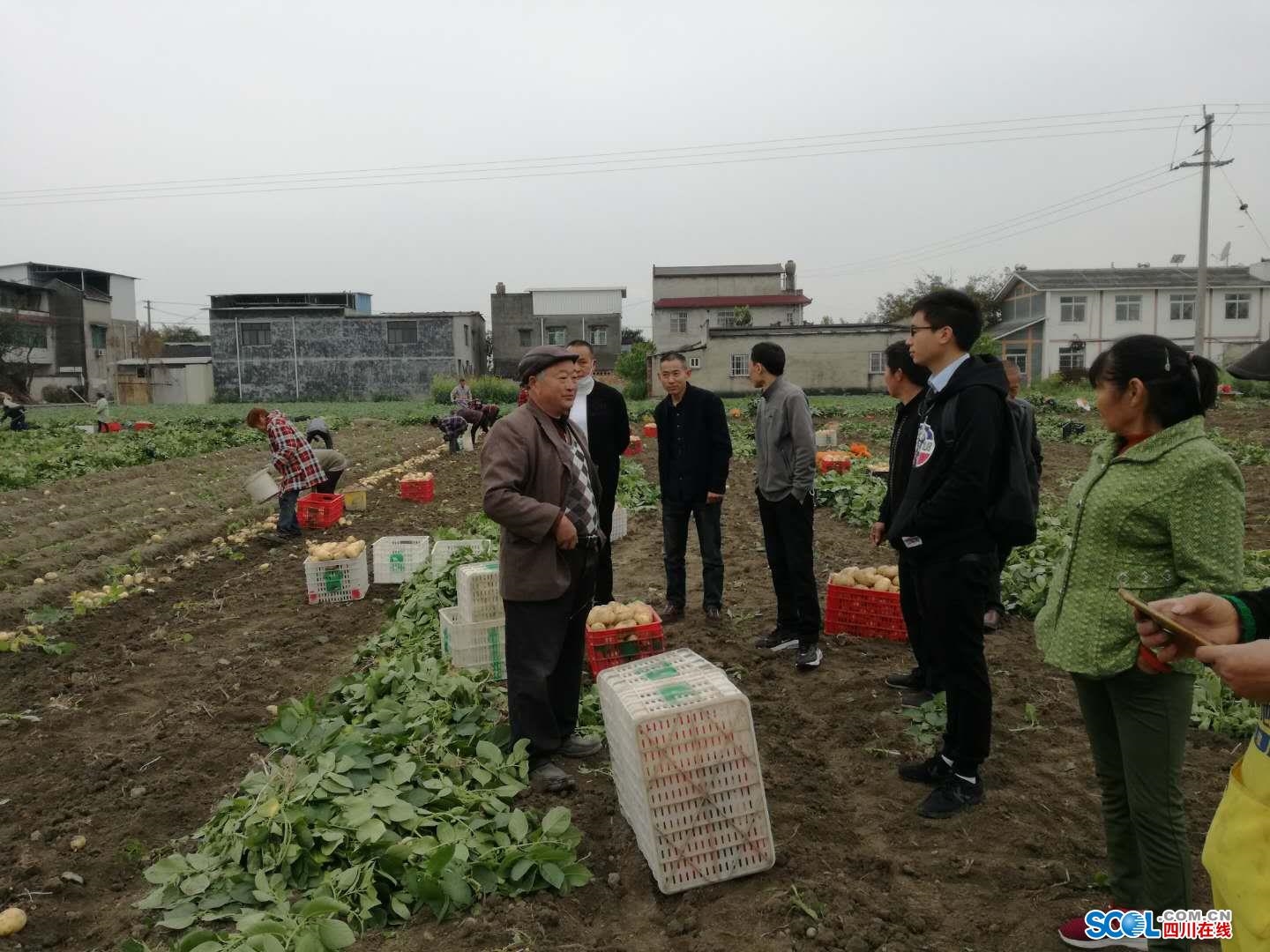 广汉家庭农场主分享致富经 带领村民共走致富路