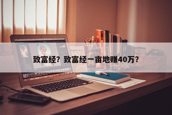 致富经？致富经一亩地赚40万？-第1张图片-承越创业知识网