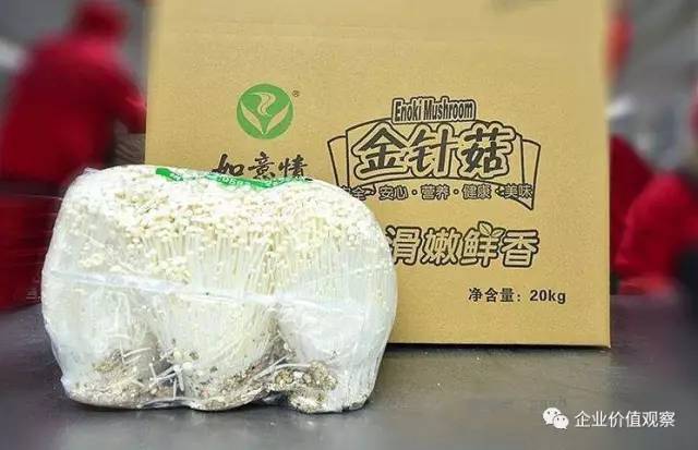 金针茹的做法_金针茹汤做法_金针茹工厂 致富经