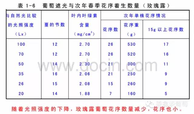 致富经葡萄种植_致富种植葡萄图片_致富种植葡萄视频