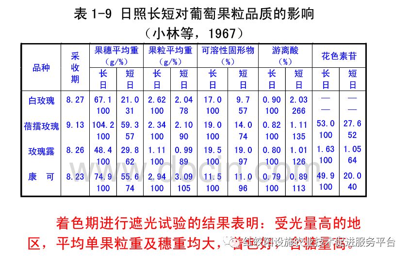 致富种植葡萄图片_致富经葡萄种植_致富种植葡萄视频