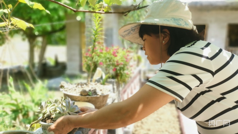 农村致富种植魔芋种植技术_种植致富农村魔芋技术有哪些_种植致富农村魔芋技术研究