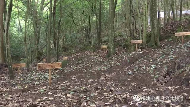 致富宝宝_致富宝贝种植方法有哪些_致富宝贝种植方法