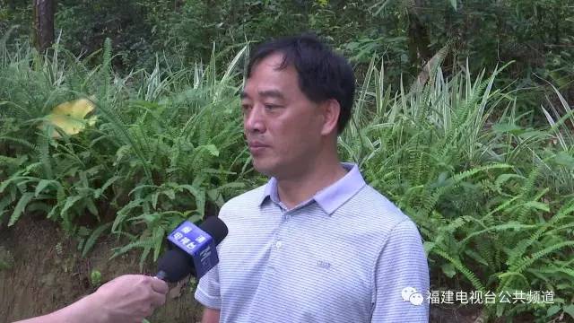 致富宝贝种植方法有哪些_致富宝宝_致富宝贝种植方法